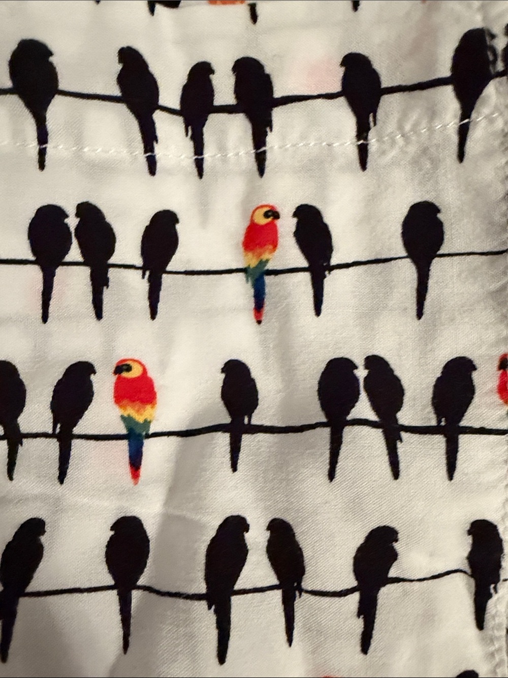 Jane and Delancey White Button-Down Shirt with Black and Red Bird Print - Picture 3 of 4